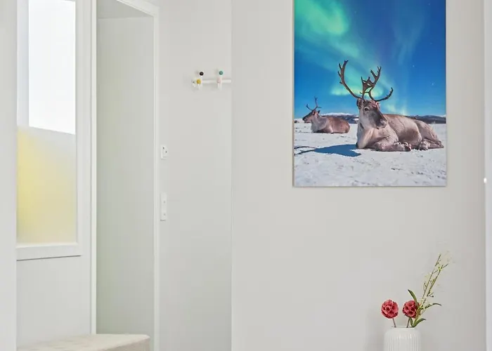 The Lovely Place * טרומסה